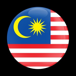Magnetic Car Grille Dome Badge-Flag Malaysia