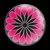 FLOWER 11