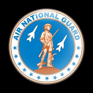 Magnetic Car Grille Dome Badge-Military US Air National Guard