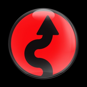 Magnetic Car Grille Dome Badge-Sign Curve Red 102