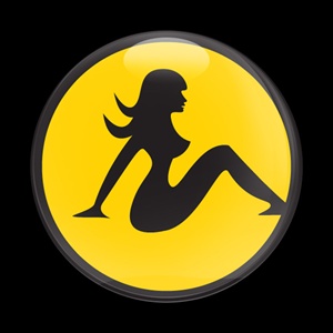 Magnetic Car Grille Dome Badge-Z Hot 100 Yellow