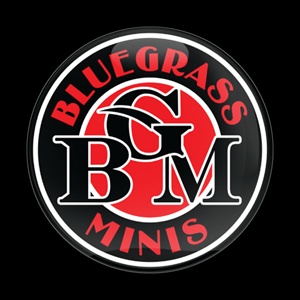Magnetic Car Grille Dome Badge-BGM