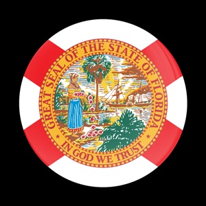 USA STATE CAR GRILLE  BADGES FLAG FLORIDA 