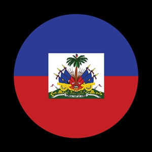 Magnetic Car Grille Dome Badge-Flag Haitian