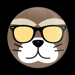 Fancy Cat