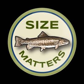 Fishing SIZE MATTERS