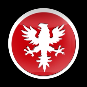Magnetic Car Grille 3D Acrylic Badge-Dragon