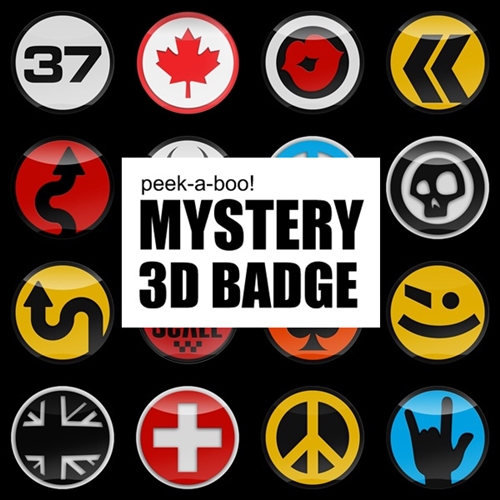 MYSTERY 3D BADGE